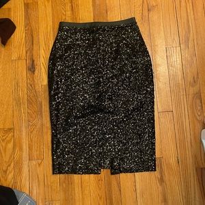 Express Sequin Skirt